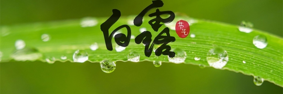 白露 | 天涼身勿露，灸火暖秋色